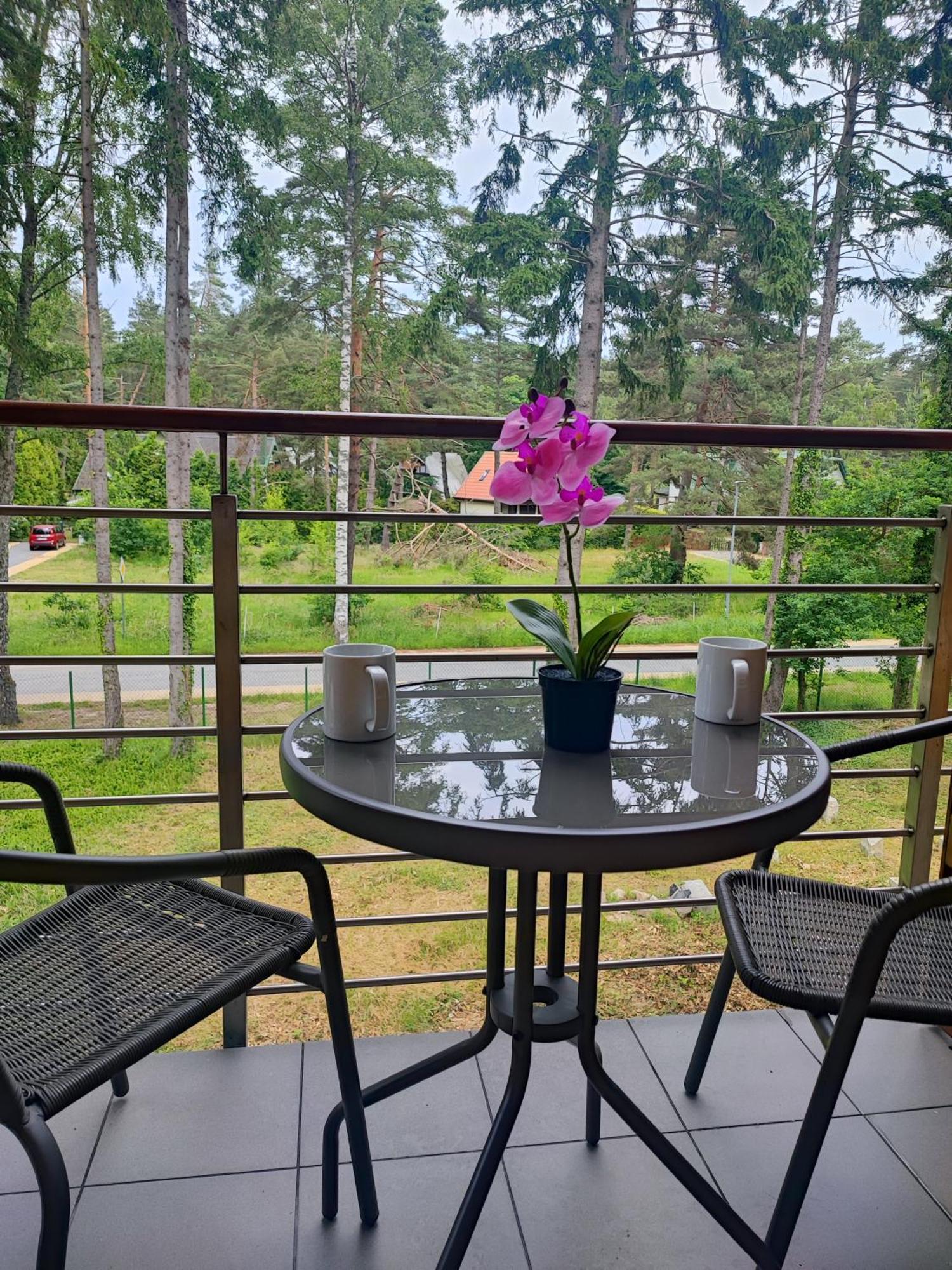 Apartamenty Poddabek- Basen Kryty, Sauna, Animacje Dla Dzieci , Malpi Gaj, Baseny Na Dachu Poddąbie Exteriör bild